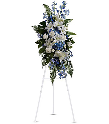 Ocean Breeze Spray from Racanello Florist in Stamford, CT